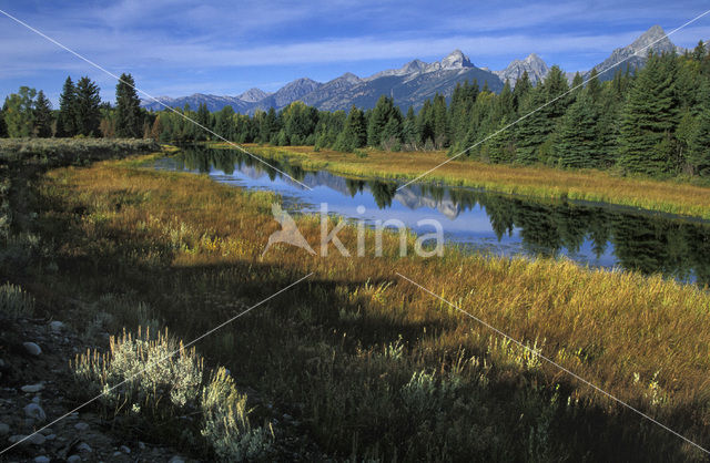 Grand Teton National Park