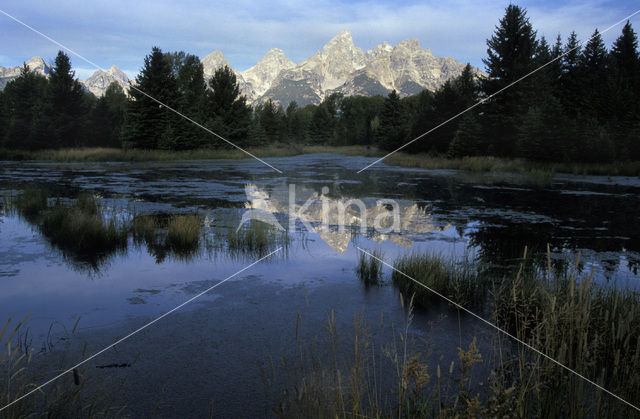 Grand Teton National Park