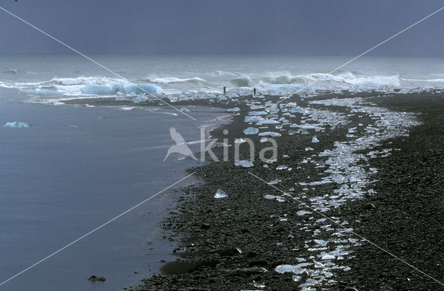 Jokulsarlon