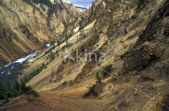 Yellowstone national park