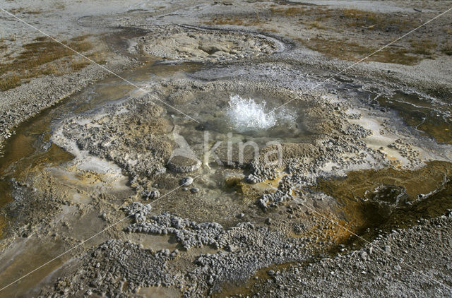 Yellowstone national park