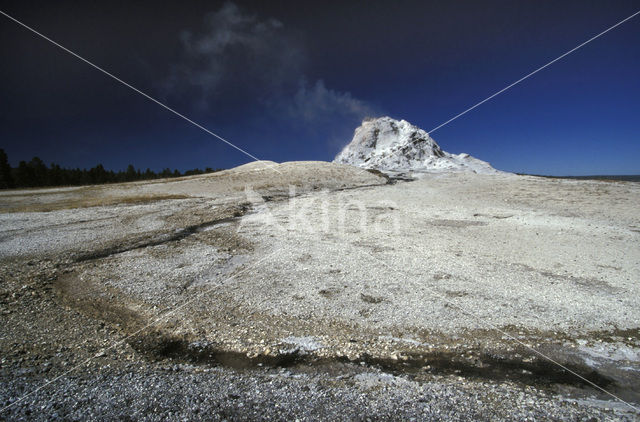 Yellowstone national park