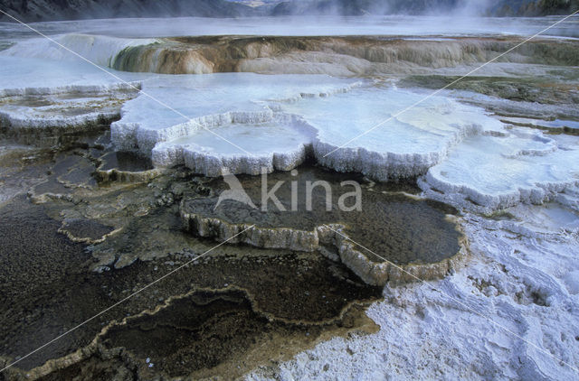 Yellowstone national park