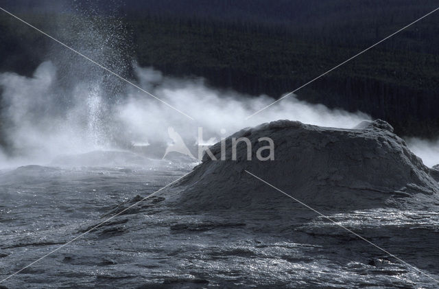 Yellowstone national park