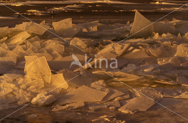 IJsselmeer