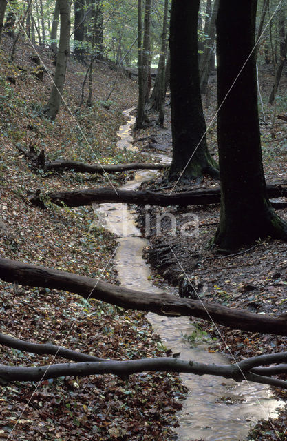 Landgoed Sint Jansberg