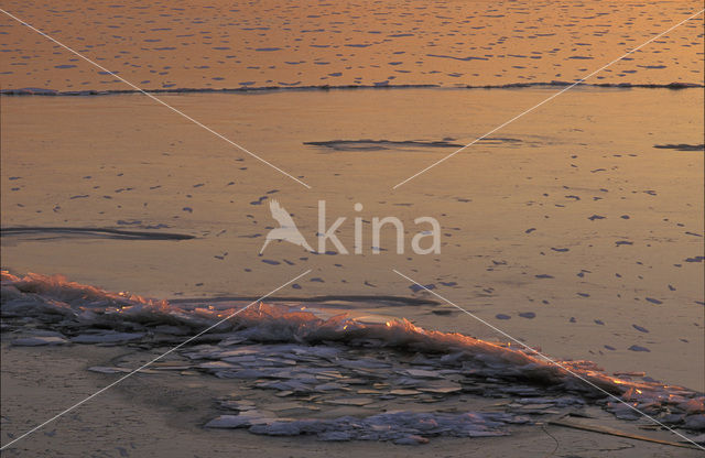 Markermeer