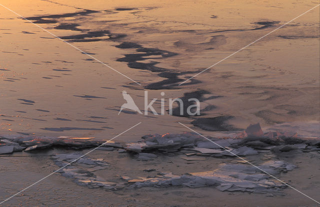 Markermeer