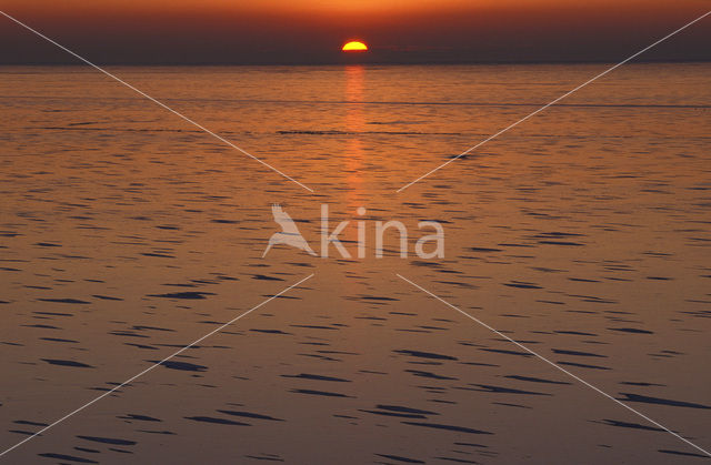 Markermeer