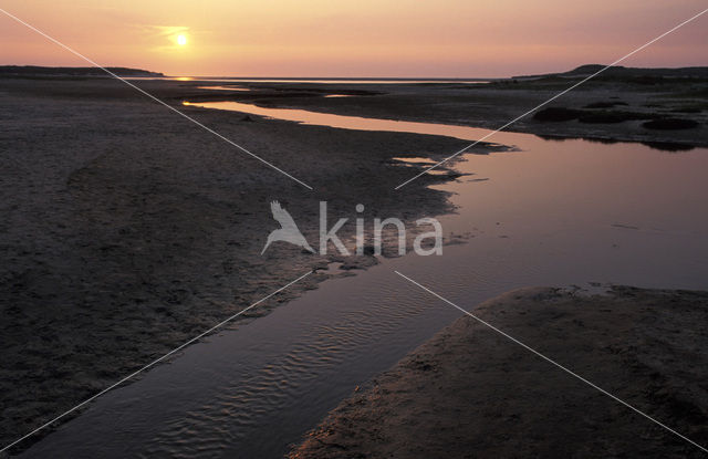 Nationaal Park Duinen van Texel