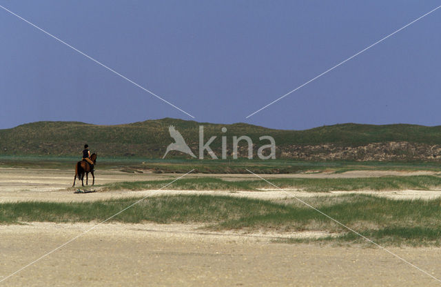 Nationaal Park Duinen van Texel