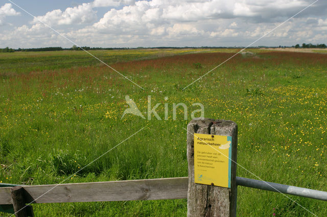 Nationaal Park Weerribben-Wieden