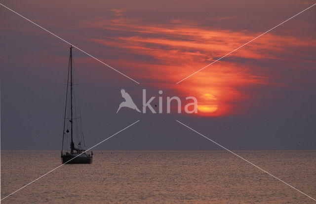 Waddenzee