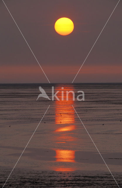 Waddenzee