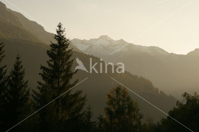 Grossglockner