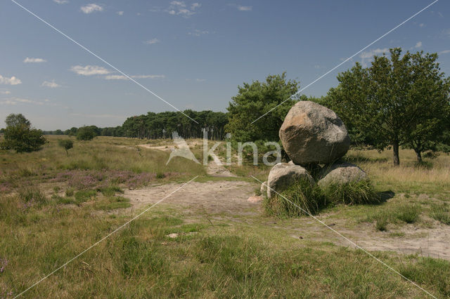 Kampina