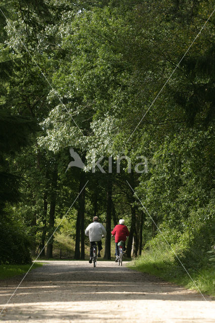 Nationaal Park Dwingelderveld