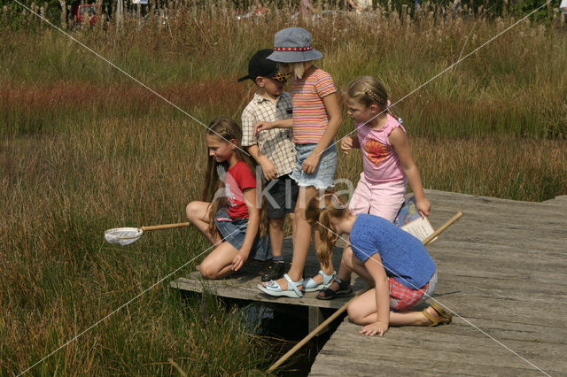 Nationaal Park Dwingelderveld