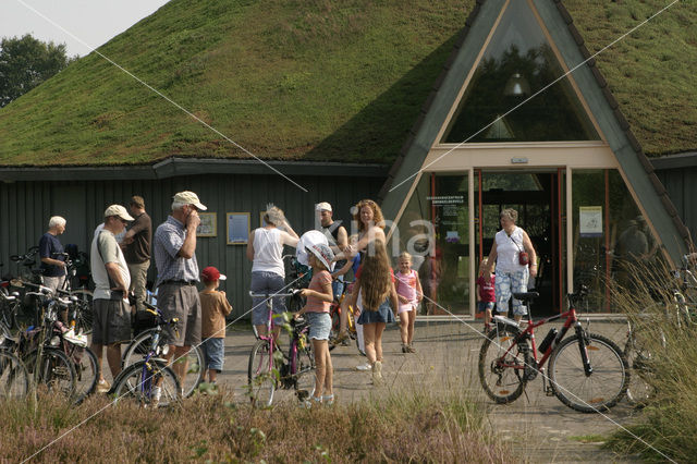 Nationaal Park Dwingelderveld