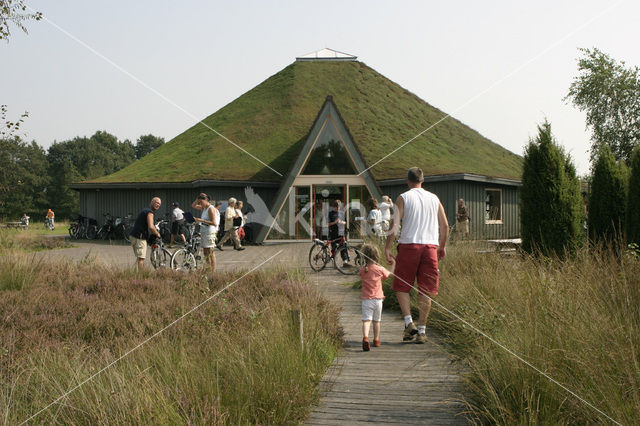 Nationaal Park Dwingelderveld