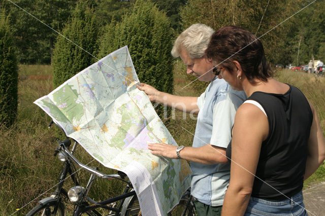 Nationaal Park Dwingelderveld