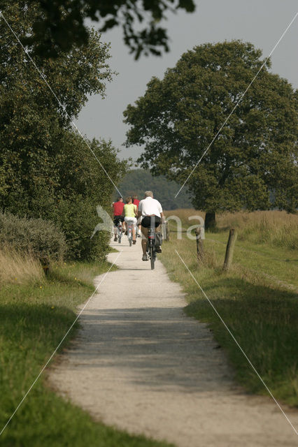 Nationaal Park Dwingelderveld