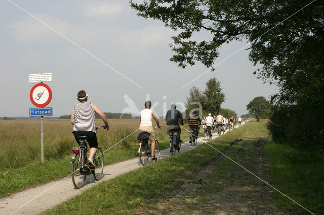 Nationaal Park Dwingelderveld