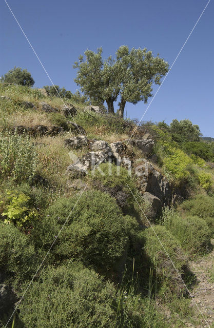 Potamia valley