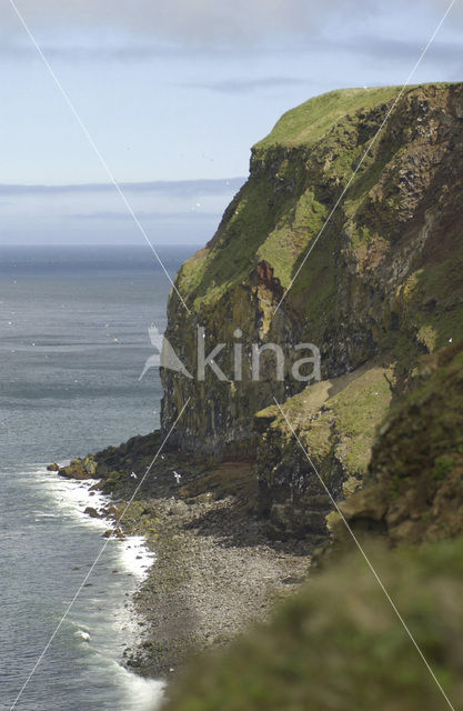 Bering Sea