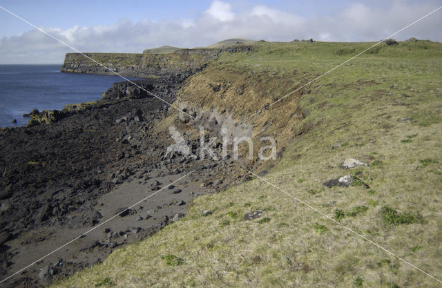 Bering Sea