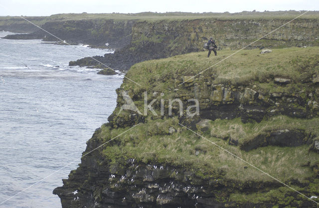 Bering Sea