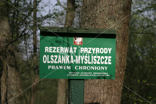 Bialowieza National Park