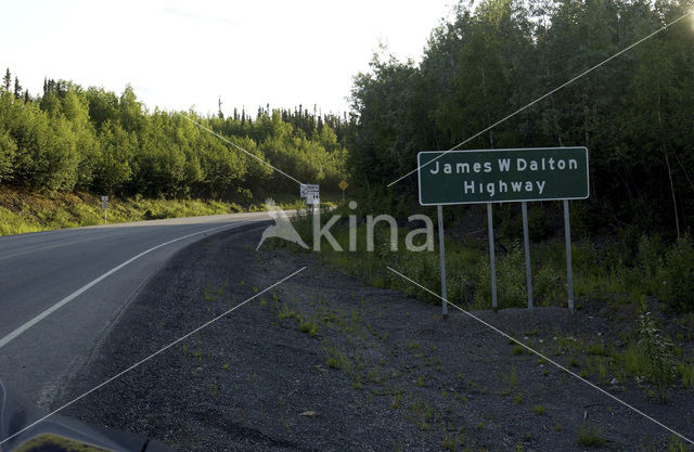 Dalton highway