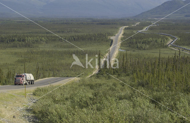 Dalton highway