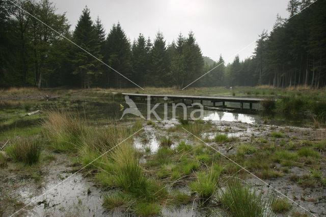 Landgoed de Slotplaats