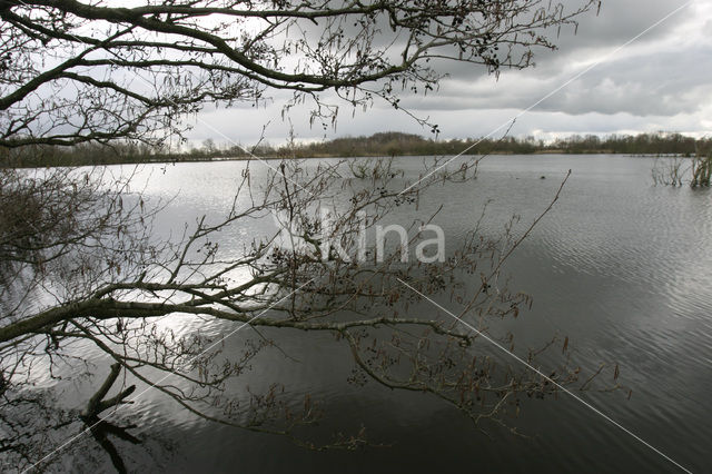 Nationaal Park De Alde Feanen