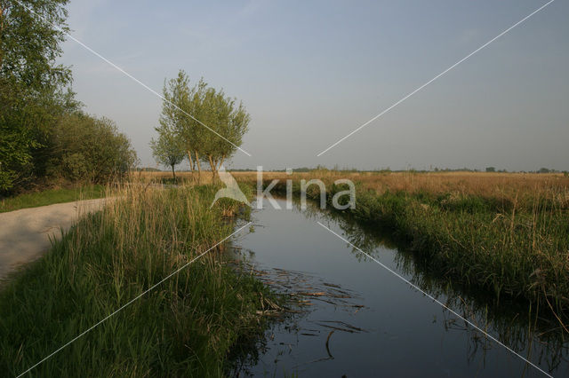 Nationaal Park De Alde Feanen