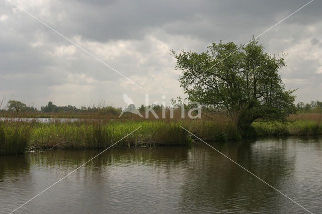 Nationaal Park De Alde Feanen