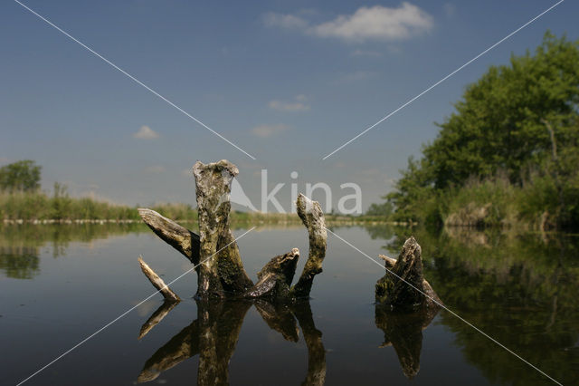 Nationaal Park De Alde Feanen