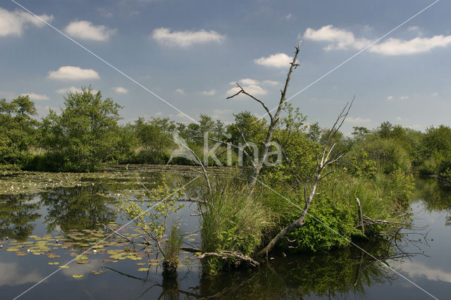 Nationaal Park De Alde Feanen