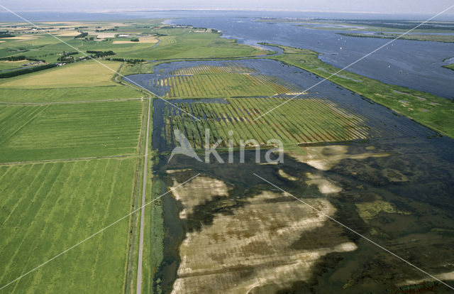 Nationaal Park Lauwersmeer