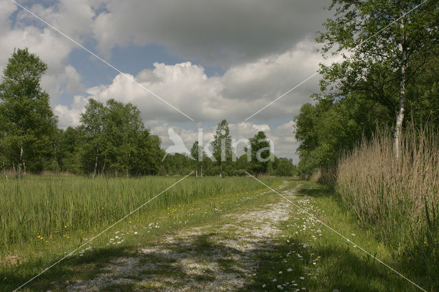 Nationaal Park Weerribben-Wieden