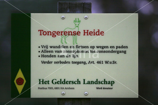 Tongerense Heide