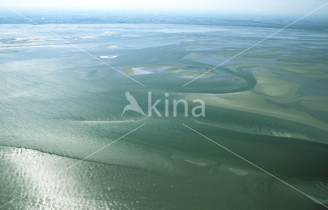 Waddenzee