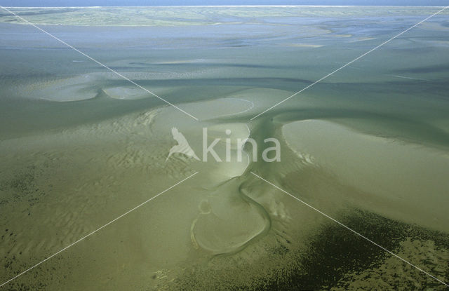 Waddenzee