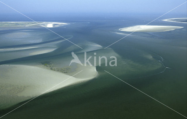 Waddenzee