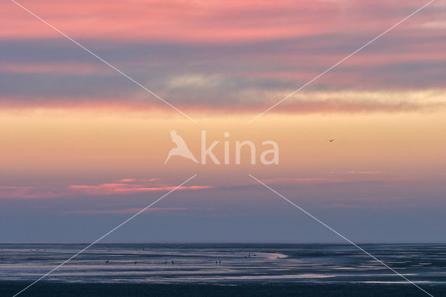 Waddenzee