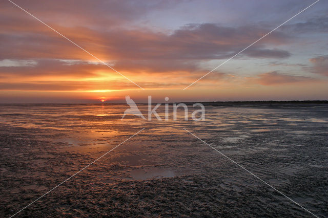 Waddenzee