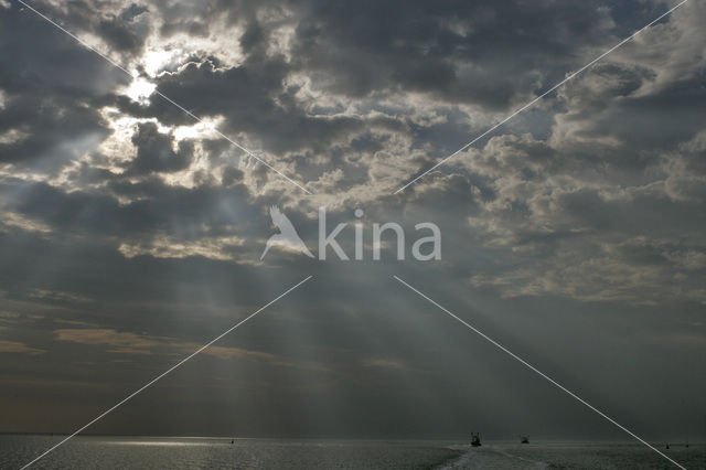 Waddenzee