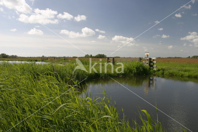 Wormer- en Jisperveld